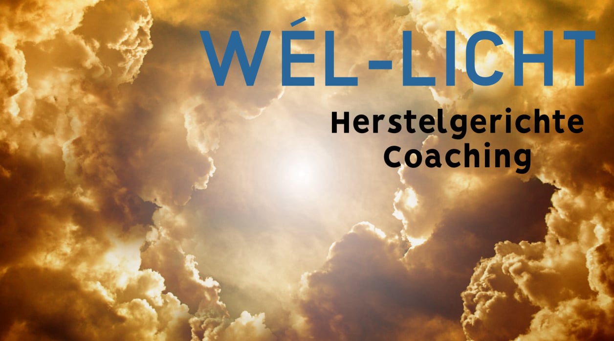 Logo Wél-Licht